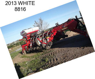 2013 WHITE 8816