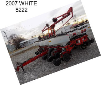 2007 WHITE 8222