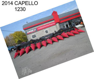 2014 CAPELLO 1230