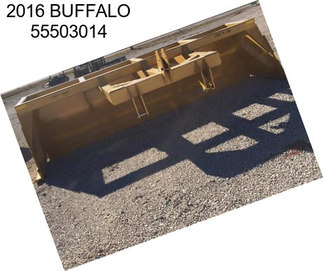 2016 BUFFALO 55503014