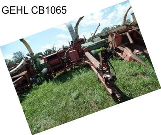 GEHL CB1065