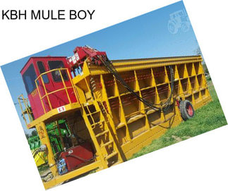 KBH MULE BOY