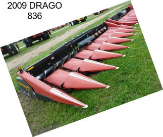 2009 DRAGO 836