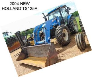 2004 NEW HOLLAND TS125A