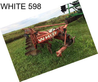 WHITE 598