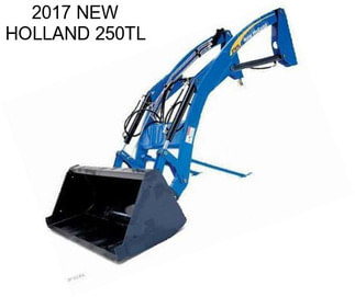 2017 NEW HOLLAND 250TL