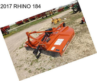 2017 RHINO 184