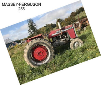 MASSEY-FERGUSON 255