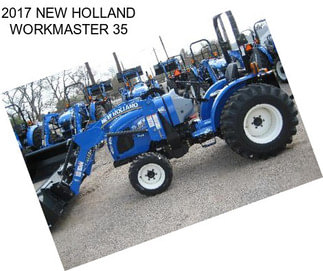 2017 NEW HOLLAND WORKMASTER 35