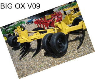 BIG OX V09