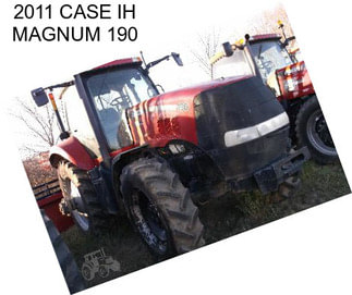 2011 CASE IH MAGNUM 190