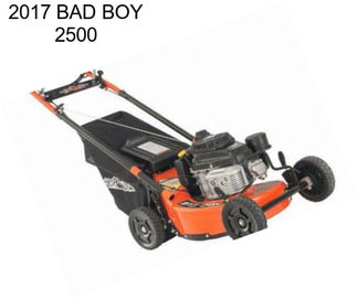 2017 BAD BOY 2500