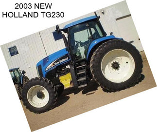 2003 NEW HOLLAND TG230