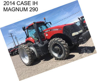 2014 CASE IH MAGNUM 290