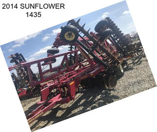 2014 SUNFLOWER 1435