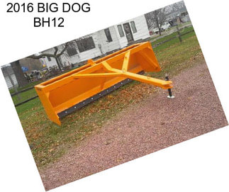 2016 BIG DOG BH12