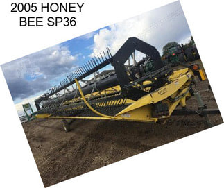 2005 HONEY BEE SP36