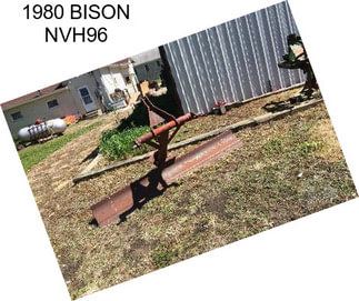 1980 BISON NVH96