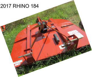 2017 RHINO 184