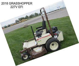 2018 GRASSHOPPER 227V EFI