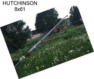 HUTCHINSON 8x61