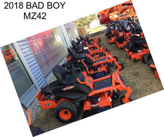 2018 BAD BOY MZ42