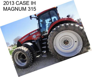 2013 CASE IH MAGNUM 315