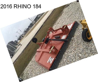 2016 RHINO 184