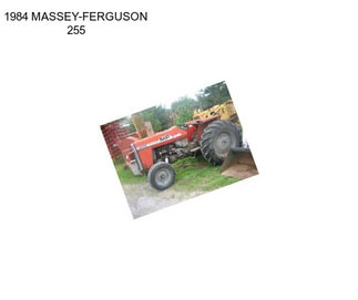 1984 MASSEY-FERGUSON 255