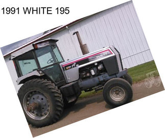 1991 WHITE 195