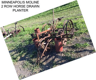 MINNEAPOLIS MOLINE 2 ROW HORSE DRAWN PLANTER