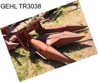 GEHL TR3038