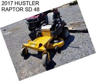 2017 HUSTLER RAPTOR SD 48