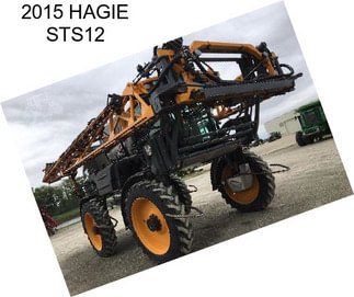 2015 HAGIE STS12