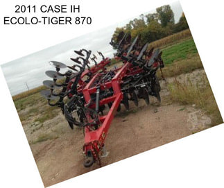 2011 CASE IH ECOLO-TIGER 870