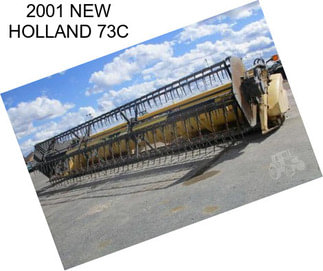 2001 NEW HOLLAND 73C