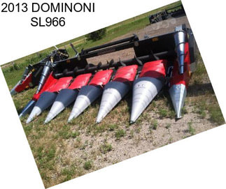 2013 DOMINONI SL966