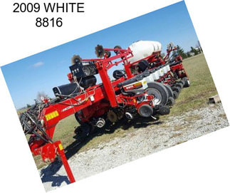 2009 WHITE 8816