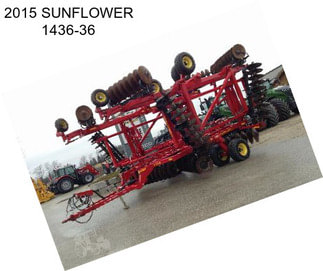 2015 SUNFLOWER 1436-36