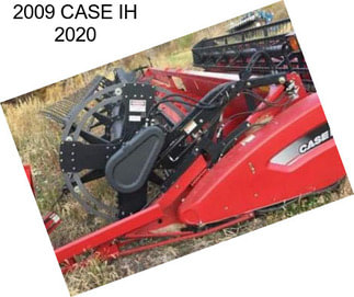 2009 CASE IH 2020