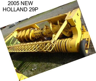 2005 NEW HOLLAND 29P