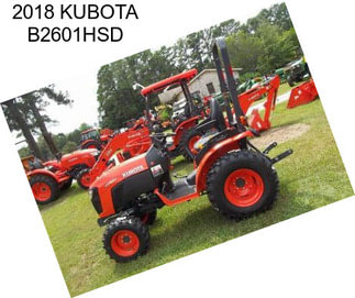 2018 KUBOTA B2601HSD