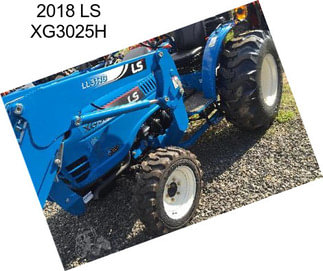 2018 LS XG3025H