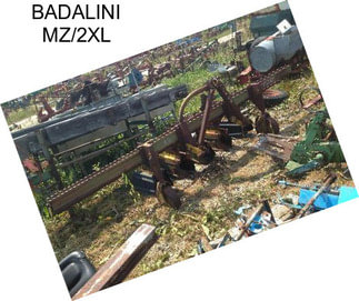 BADALINI MZ/2XL