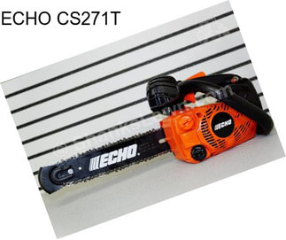 ECHO CS271T