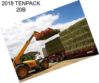 2018 TENPACK 20B