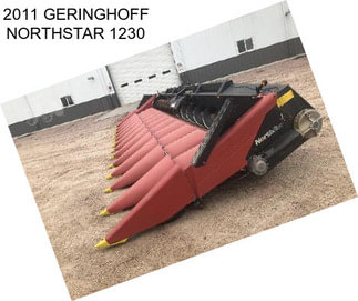 2011 GERINGHOFF NORTHSTAR 1230