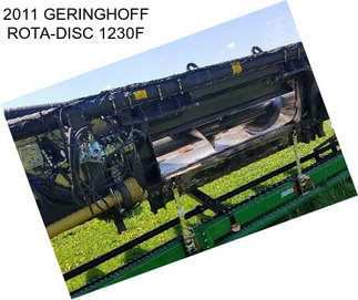 2011 GERINGHOFF ROTA-DISC 1230F