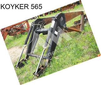 KOYKER 565