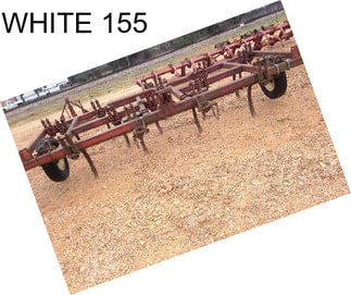 WHITE 155